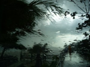 Rainy season makes itself known