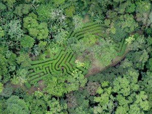 Panamaze from the air